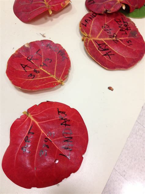 地球 Art 的图像结果