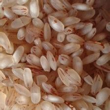 Pachaa Traders - Organic Traditional, Natural, Herbal product Wholesalers