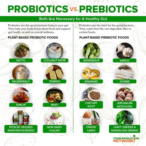 Prebiotics Vs Digestive Enzymes at Scott Cahill blog