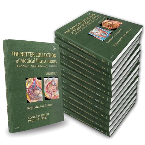 The Netter Collection of Medical Illustrations Complete Package (Netter ...
