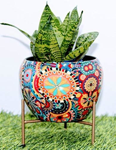 The Decor Worthy Designer Metal Planter with Stand, Rust Free : Amazon ...