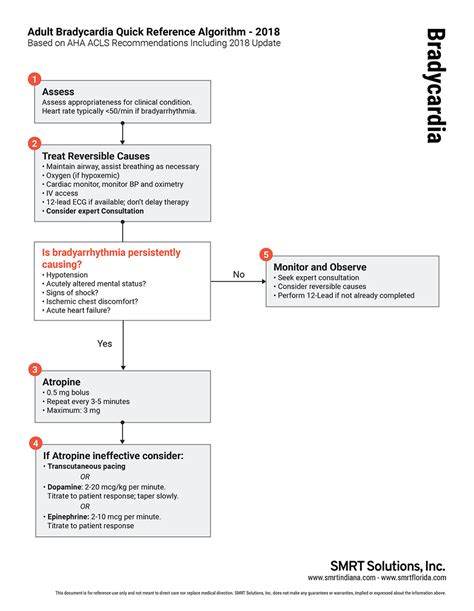 Sinus Bradycardia ACLS Algorithm 的图像结果