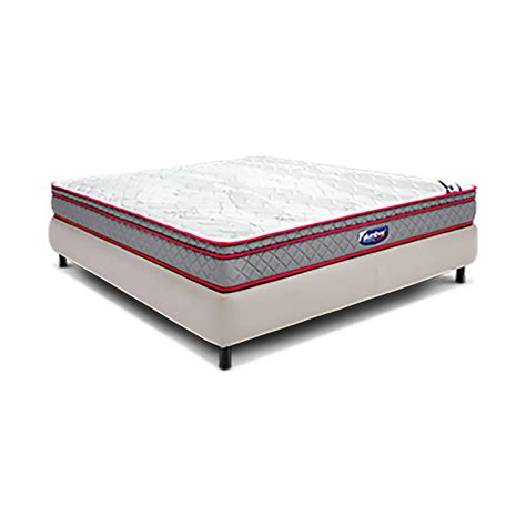 Buy Ergo Med Plus 8 Inch Queen Size Foam Mattress Online
