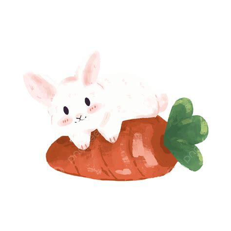 Rabbit With Carrots Vector, Rabbit, Vector, Animal PNG and Vector with ...