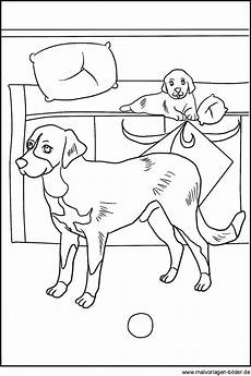 malvorlage hunde kostenlos malvorlagen kostenlos hunde coloring and malvorlagan malvorlage hunde kostenlos malvorlagen kostenlos hunde coloring and malvorlagan