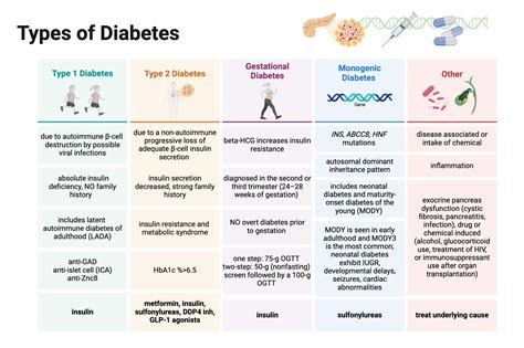 Types of Diabetes | BioRender Science Templates