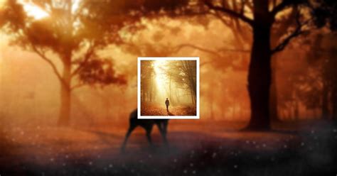 Obituary Galleries | Michael Ray Miller of Woodlawn, Virginia | Vaughan ...