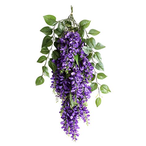 A cascading cluster of vibrant purple hanging flowers with lush green ...