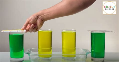 Diffusion Using Food Coloring 的图像结果