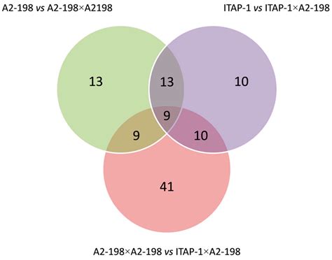 Protein Profiling of Pollen–Pistil Interactions in Almond (Prunus ...