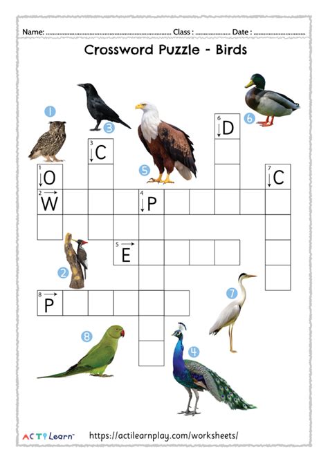 Free Birds Crossword Puzzle Download - Fun Learning Activity