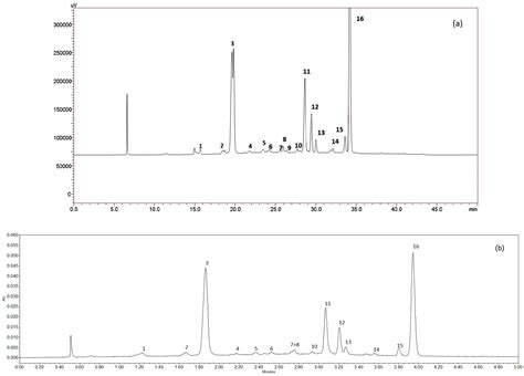Impact of Membrane Pore Size on the Clarification Performance of Grape ...