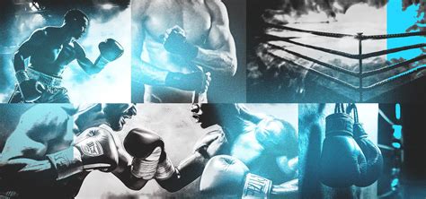 Types of Boxing 的图像结果