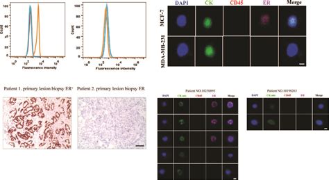 2022年度发表论文----国家纳米科学中心