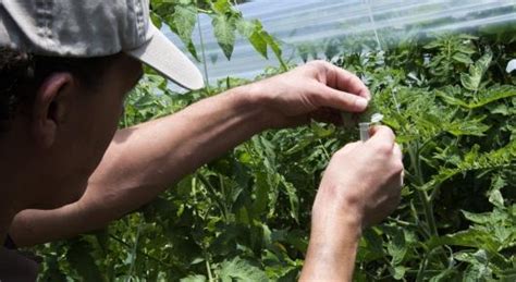 Biotechnology Warning Infographic 的图像结果