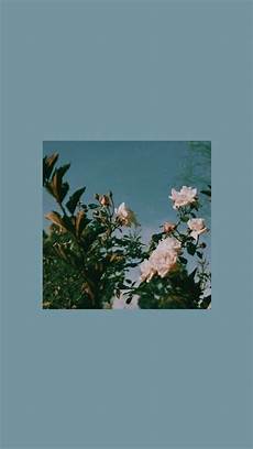 Home Screen Artsy Aesthetic Wallpaper by Simple And Aesthetic Blue Floral Wallpaper For Phone Home Screen Artsy Aesthetic Wallpaper