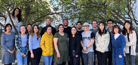 David Lab 的图像结果