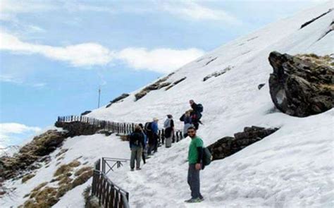 Camping In Chopta 2025 : For A Weekend In The Mountains
