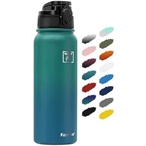 Fanhaw 20 oz Insulated Stainless Steel Water Bottle with Anti-Dust Chug ...