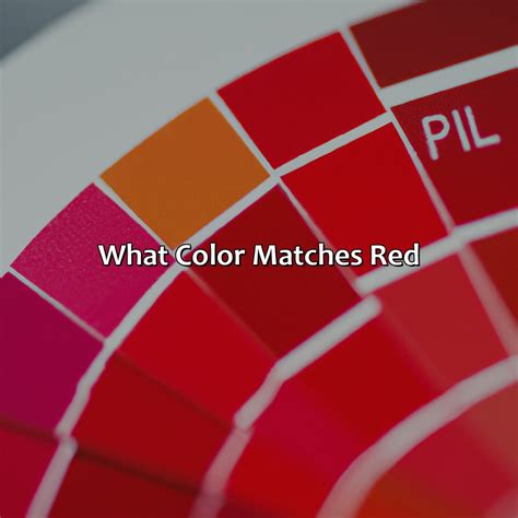 What Color Is Complementary To Blue - colorscombo.com