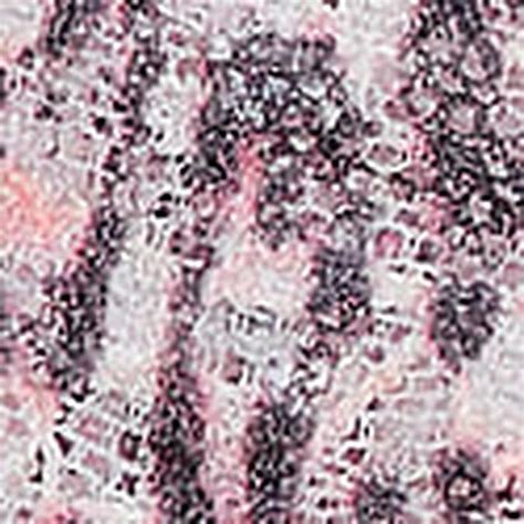 Thongs: Buy Thongs For Women Online at Best Price | Victoria's Secret India