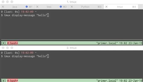 Developer Tab in PowerPoint 的图像结果