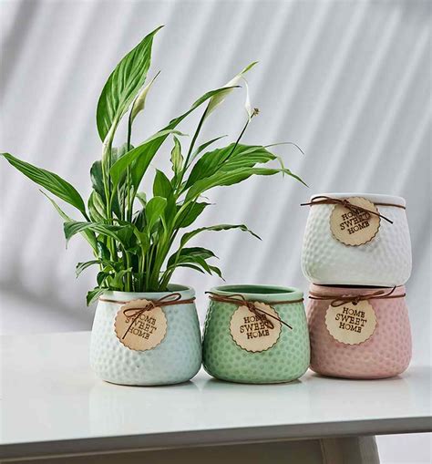 Pastel Textured Mini Ceramic Planters with Home Sweet Home Tag ...