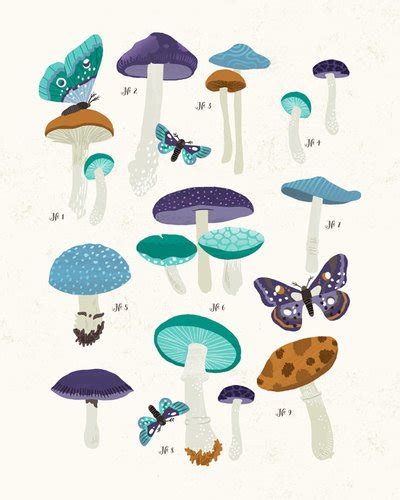 Wheatpaste Art Collective Posters That Stick Wall Decal Mushroom Study ...