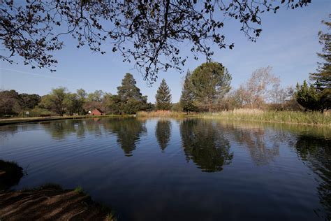 Amenities | Silent Valley Club