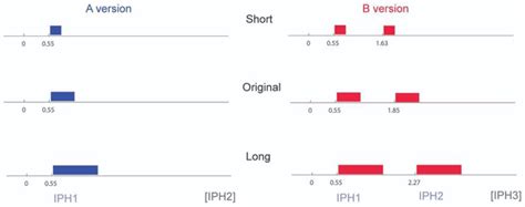 Increased Pre-Boundary Lengthening Does Not Enhance Implicit ...