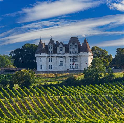 Lujv Old World New World 的图像结果