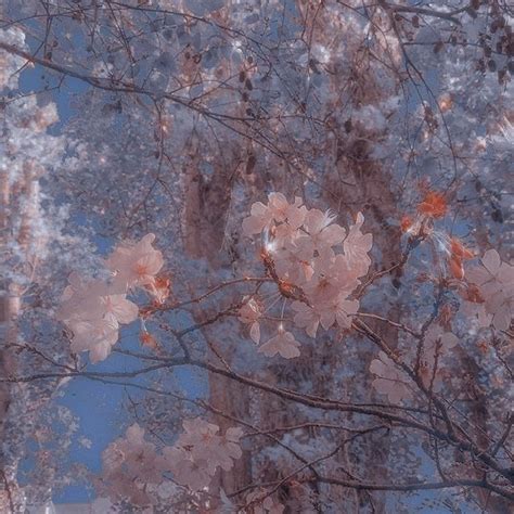 شرایط خدمات Aesthetic Background Background Aesthetic Aesthetic