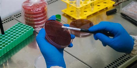 Image result for Admixture Polymers Testing