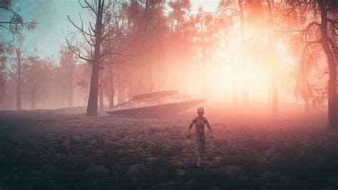 Alien Abduction Small Grey's 的图像结果