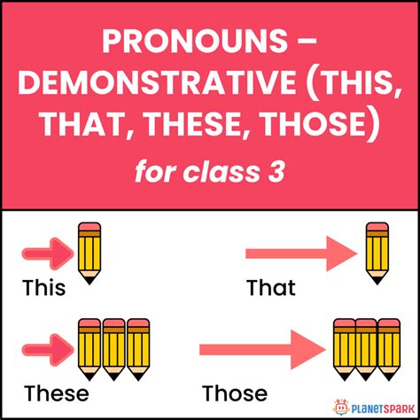 Class 3 Sentence Types Worksheet – Declarative Sentences Practice ...