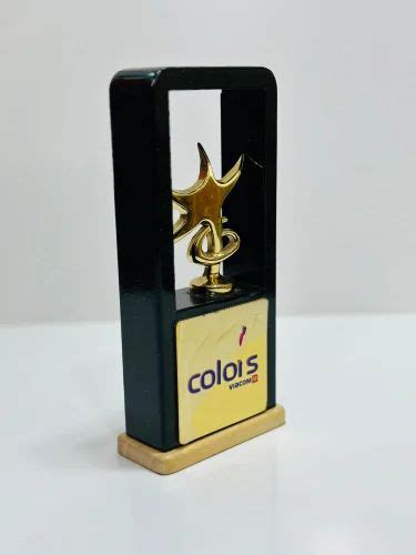 wooden momento - Wooden Momento With Star Manufacturer from Mumbai