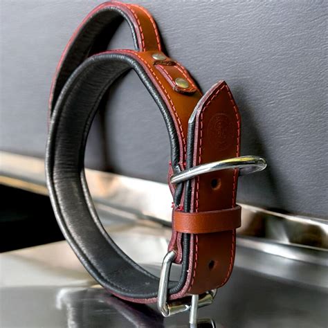 Basic Dog Collars | The K9 Store
