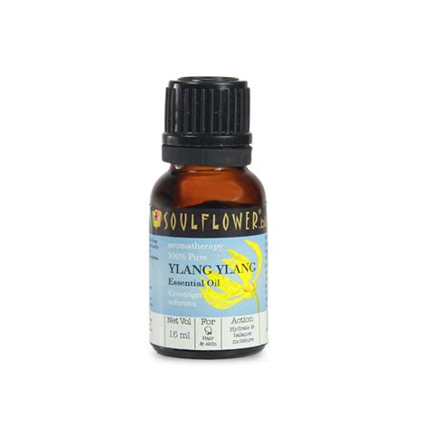 Buy Soulflower Essential Oil, Ylang Ylang, 15ml Online at Low Prices in ...