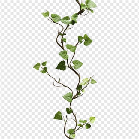 Vine texture Images - Free Download on Magnific (formerly Freepik)