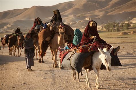 Nomadic Tribes Africa: Culture, History, and Modern Life