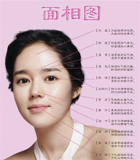 女人面相看眉，什么样的眉型旺家！