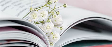 Download wallpaper 2560x1080 gypsophila, flowers, branch, book, pages ...