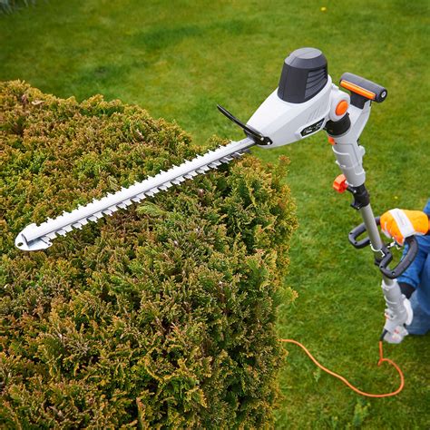 Pole hedge trimmers - isseposters
