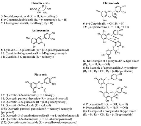 Characterisation of Phenolic Compounds in South African Plum Fruits ...