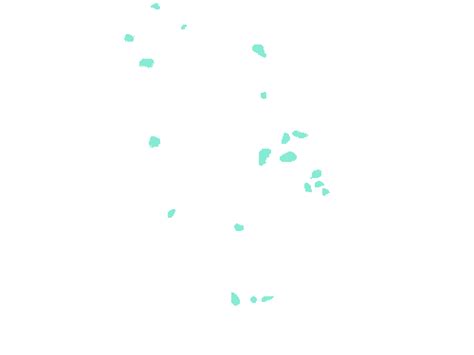 Fluorescent Neuronal Cells - Dataset Ninja