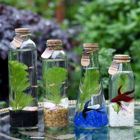 斗鱼礼物盒怎么抽最新素材