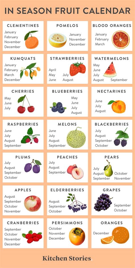 What Fruits and Vegetables are in Season? A Yearly Guide to Produce
