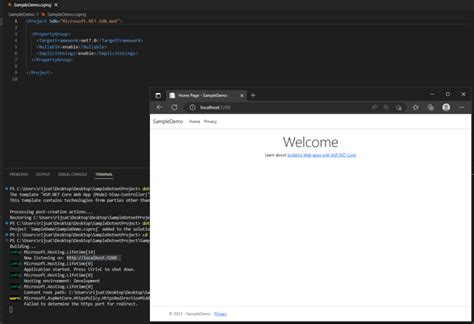 vs Code .Net 的图像结果