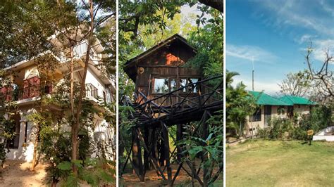 Top 10 Wildlife Homestays In Madhya Pradesh: Weave An Experience Of ...