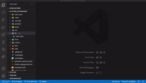 vs Code Flutter 的图像结果